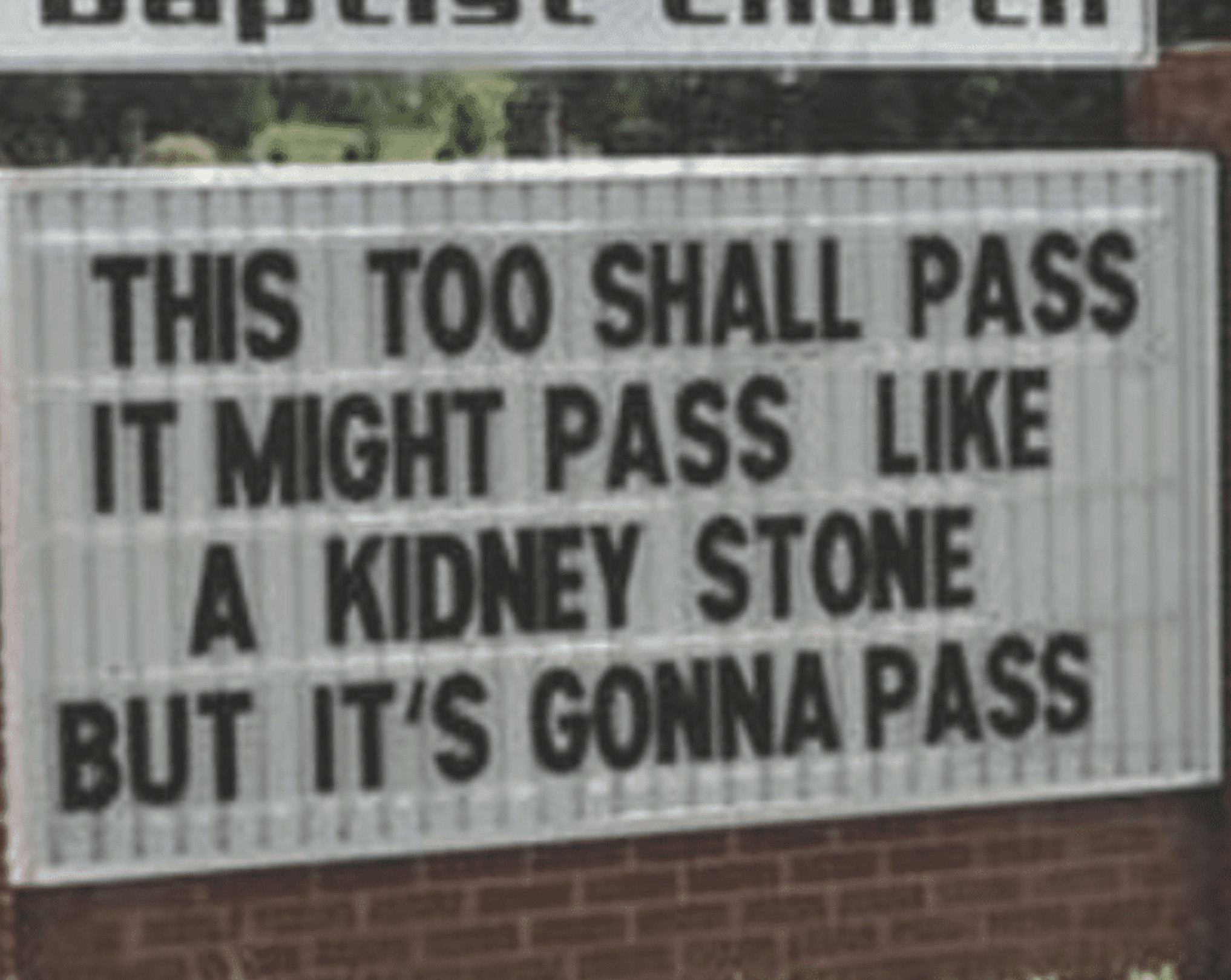 signage - This Too Shall Pass It Might Pass A Kidney Stone But It'S Gonna Pass